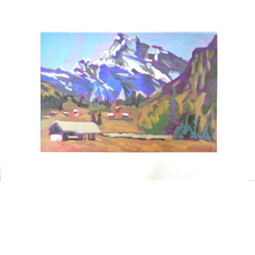 Sixt Fer à Cheval vue du village